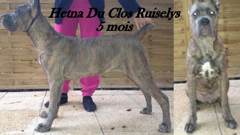 Hetna du clos ruiselys